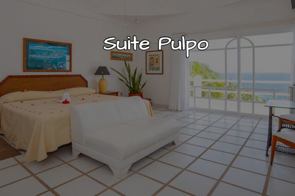 suite-pulpoA6250653-67BC-6E4E-EE6B-BE1127749ED8.jpg